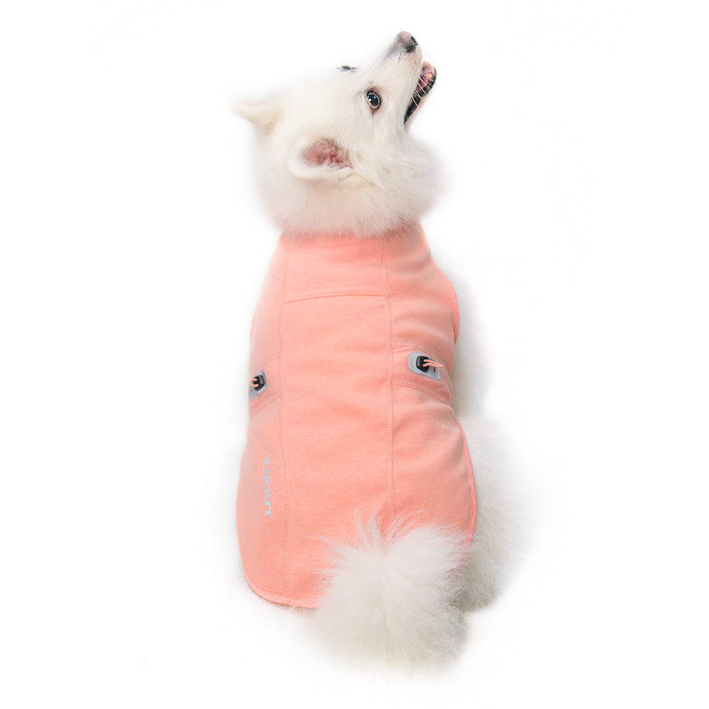 小型犬がエコガード ナ シティを着た様子
