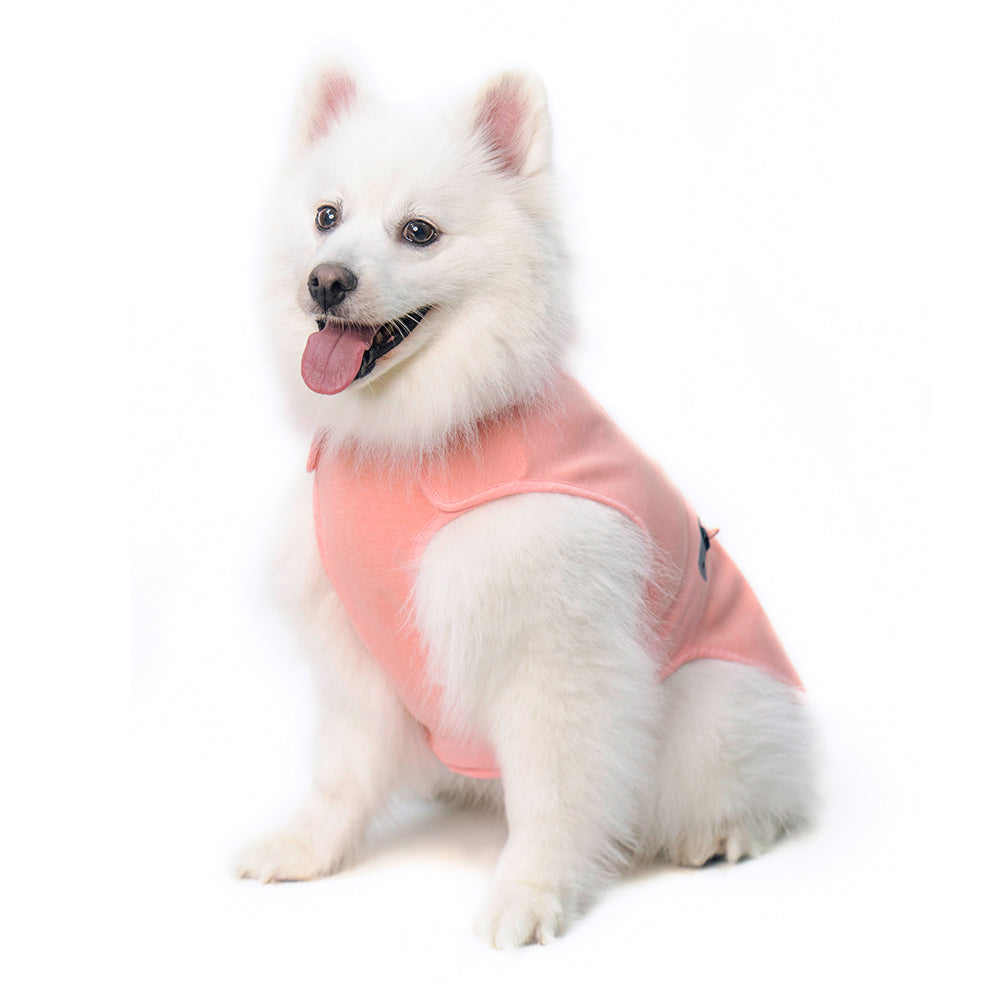 犬服 エコガード ナ シティ 生地アップ