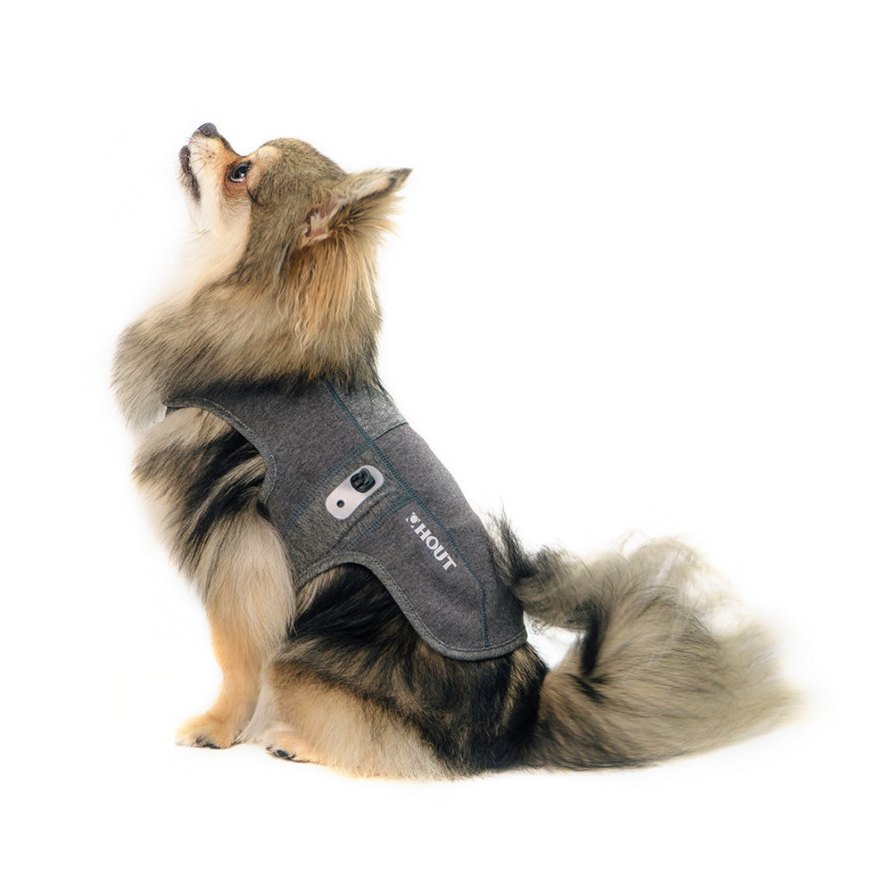 HOUT 犬用ウェア エコガード ナ シティ 背面