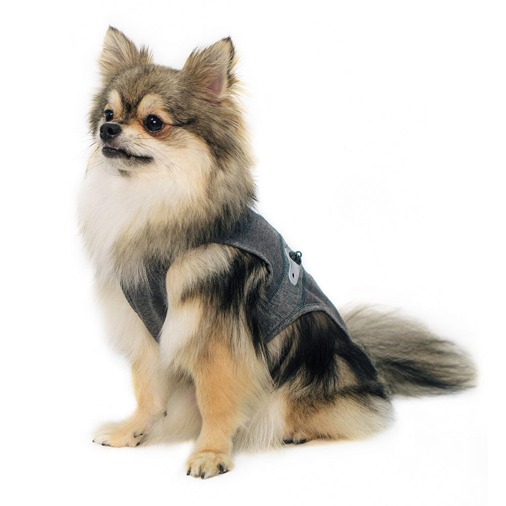 犬服 エコガード ナ シティ ディテール