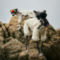 HOUT コンター オールインワン ドッグパディングを着た犬の正面