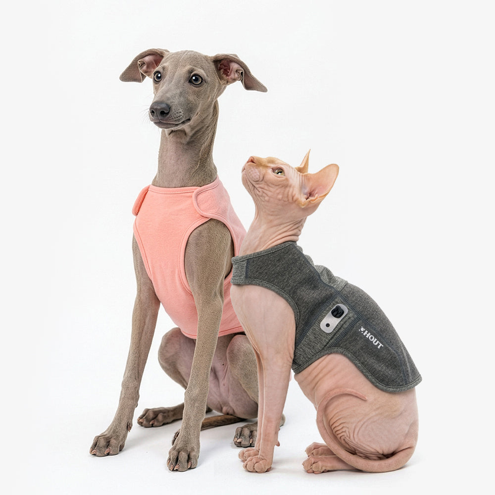 HOUT エコガード ナ シティ 犬服 ドッグウェア 全体