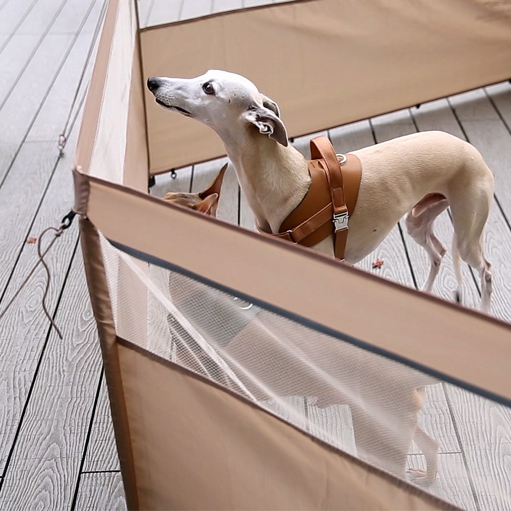 HOUT ペットウルトラ オールインワン 2in1 犬のおでかけ用品 正面