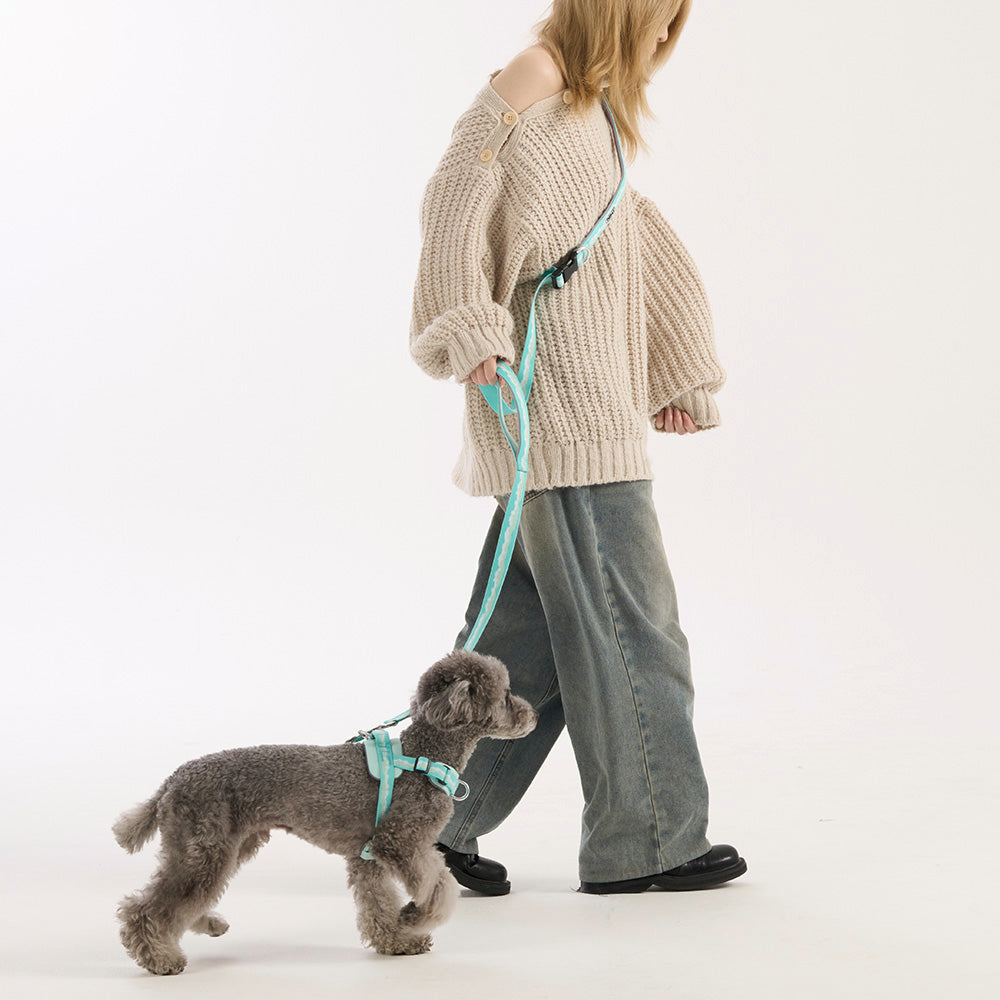 HOUT SYNC リード 愛犬とのおでかけイメージ