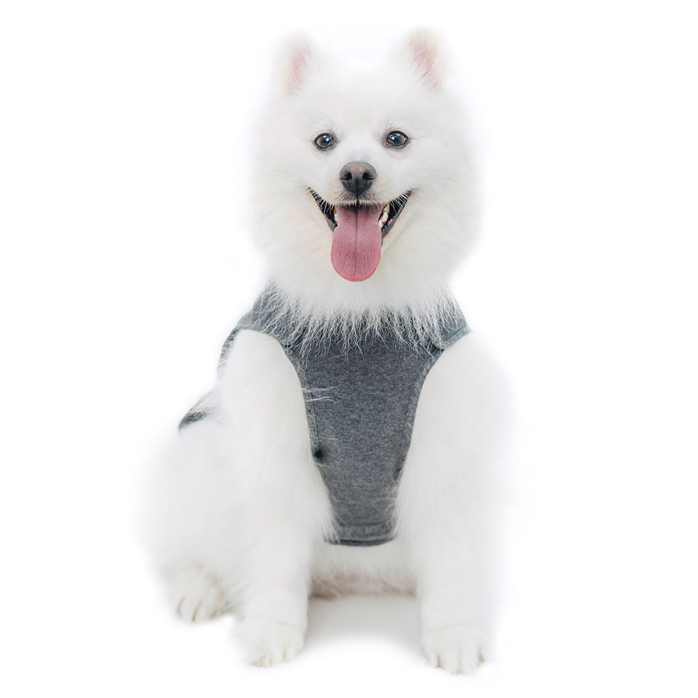 エコガード ナ シティ 着せやすい犬服