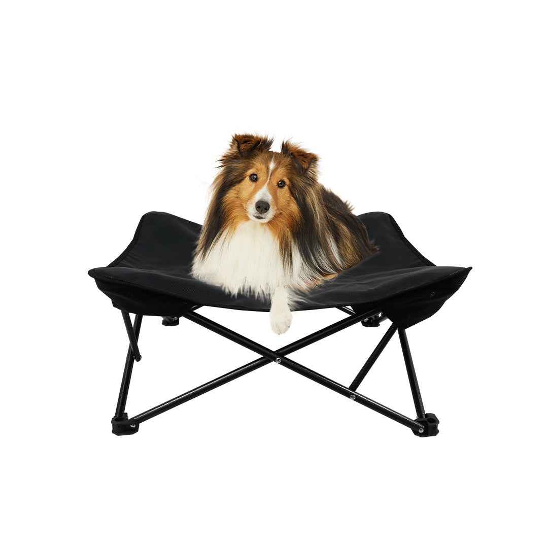 犬用ドッグコート 全体ビュー